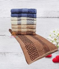 Ręczniki frotte100%bawełna 50x100cm(400-450g/m2) HGR-50A